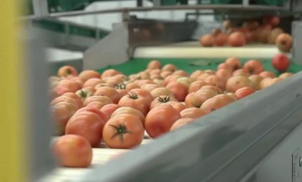 Agroalimentare, l&rsquo;export traina il settore