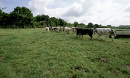 Agroalimentare, un filo diretto tra banche e imprese