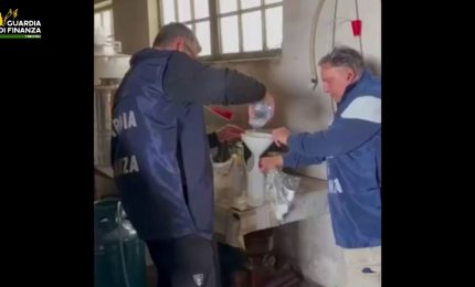 Guardia di Finanza sequestra 11 mila litri di vino nel trevigiano
