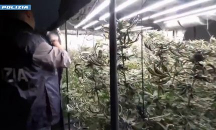 Catania, serra di marijuana in casa e laboratorio di documenti falsi: un arresto