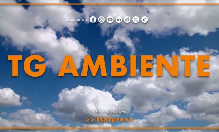 Tg Ambiente - 17/5/2026