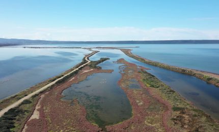 Zone umide a rischio, &egrave; allarme sulla biodiversit&agrave;