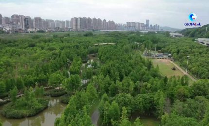 Cina, alla scoperta del modello di ripristino ecologico nel Jiangxi