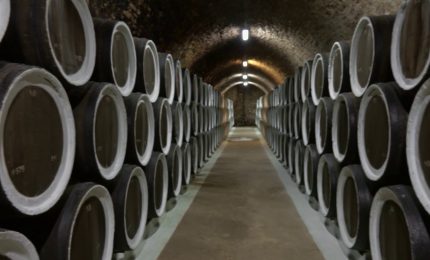 Vino, export mondiale da record ma pesano i dazi Usa