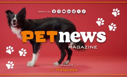 PetNews Magazine - 25/5/2026