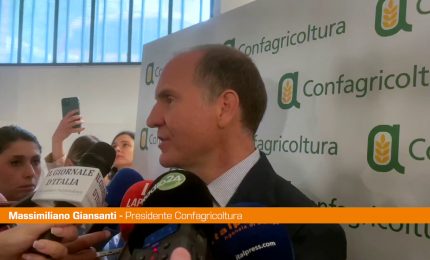 Agricoltura, Giansanti "Con blocco Hormuz peggiore crisi degli ultimi 100 anni"