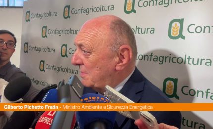 Dl bollette, Pichetto "Modifiche? Valuteremo in base a condizioni"