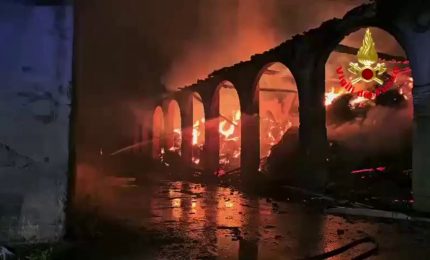 Nel Milanese scoppia un incendio a causa del maltempo, salvate 510 mucche