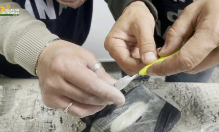 Genova, scoperti 11 kg tra cocaina e hashish nascosti in un carico di mattonelle