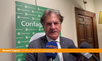 Caponi "Premio Filo della Torre mostra legame tra agricoltura e cultura"