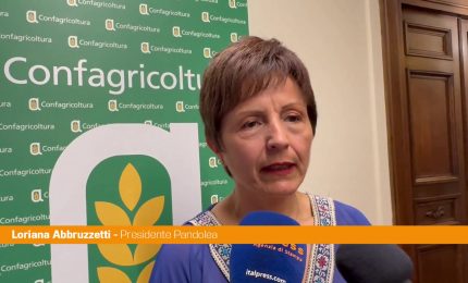 Abbruzzetti "Respiro internazionale per IX edizione premio Filo della Torre"