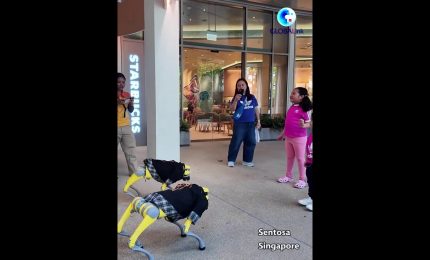 A Singapore cani robot cinesi intrattengono i turisti