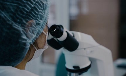 Bayer Italia accelera sull&rsquo;innovazione
