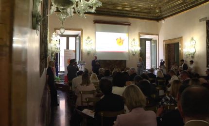 Tumori del sangue, 30mila casi ogni anno ma nuove speranze dalla ricerca