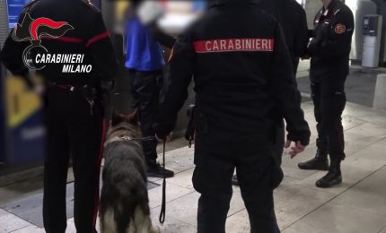 Milano, indagini sulla morte dell'interprete Roberto Guerrino, fermato un 19enne