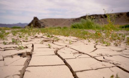 Clima, la siccit&agrave; minaccia la produzione agricola mondiale