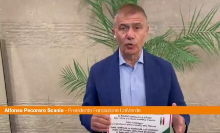 Pecoraro Scanio &ldquo;Festa della Repubblica ricordi l'ambiente in Costituzione&ldquo;