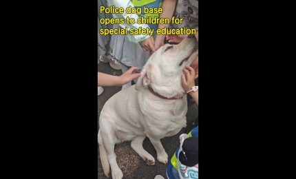 Cina, base di cani poliziotto accoglie bambini per educazione alla sicurezza