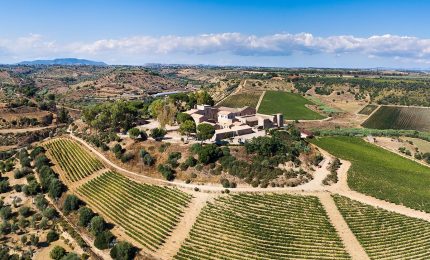 Feudi del Pisciotto, nel cuore della Sicilia Sudorientale il vino incontra la storia