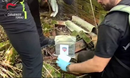 Maxi sequestro di armi e droga in un bosco nel Torinese, 2 arresti