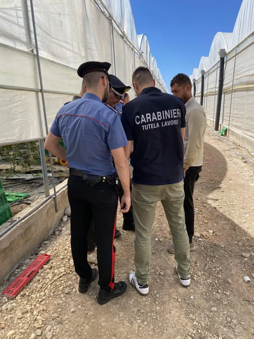 Lotta al caporalato, 15 datori di lavoro denunciati e 5 attivit&agrave; sospese nel Palermitano