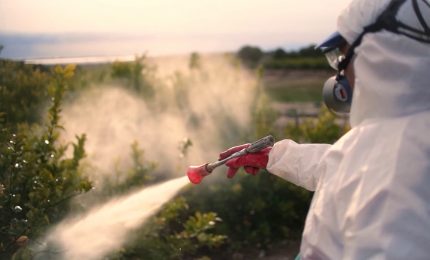 Pesticidi, ricercatori contro la semplificazione delle autorizzazioni