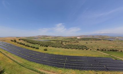 Inaugurato in Sicilia Iberdrola Fenix, impianto fotovoltaico da 243 MW