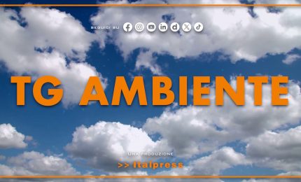 Tg Ambiente - 28/6/2026
