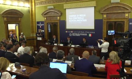 Il Masaf al fianco del settore olivicolo, tolleranza zero contro le frodi