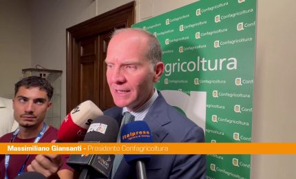 Agricoltura, Giansanti "Da crisi geopolitiche effetti sul sistema produttivo"