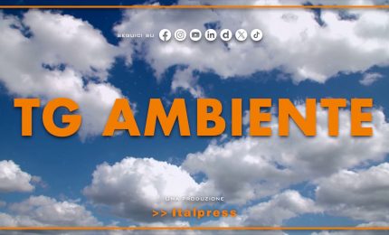 Tg Ambiente - 12/7/2026