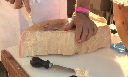 Nel primo trimestre tiene l'agroalimentare nonostante le incertezze dei mercati