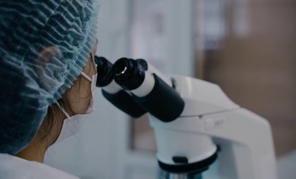 Lotta contro il cancro prioritaria per il G7