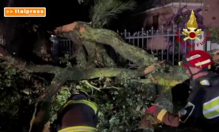 Maltempo nelle Marche, oltre duecento interventi dei Vigili del fuoco