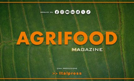 Agrifood Magazine - 29/7/2026