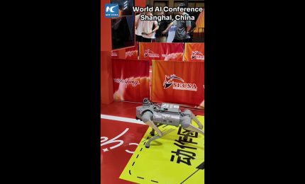 Cina: cani robot si sfidano in un percorso a ostacoli alla WAIC 2026