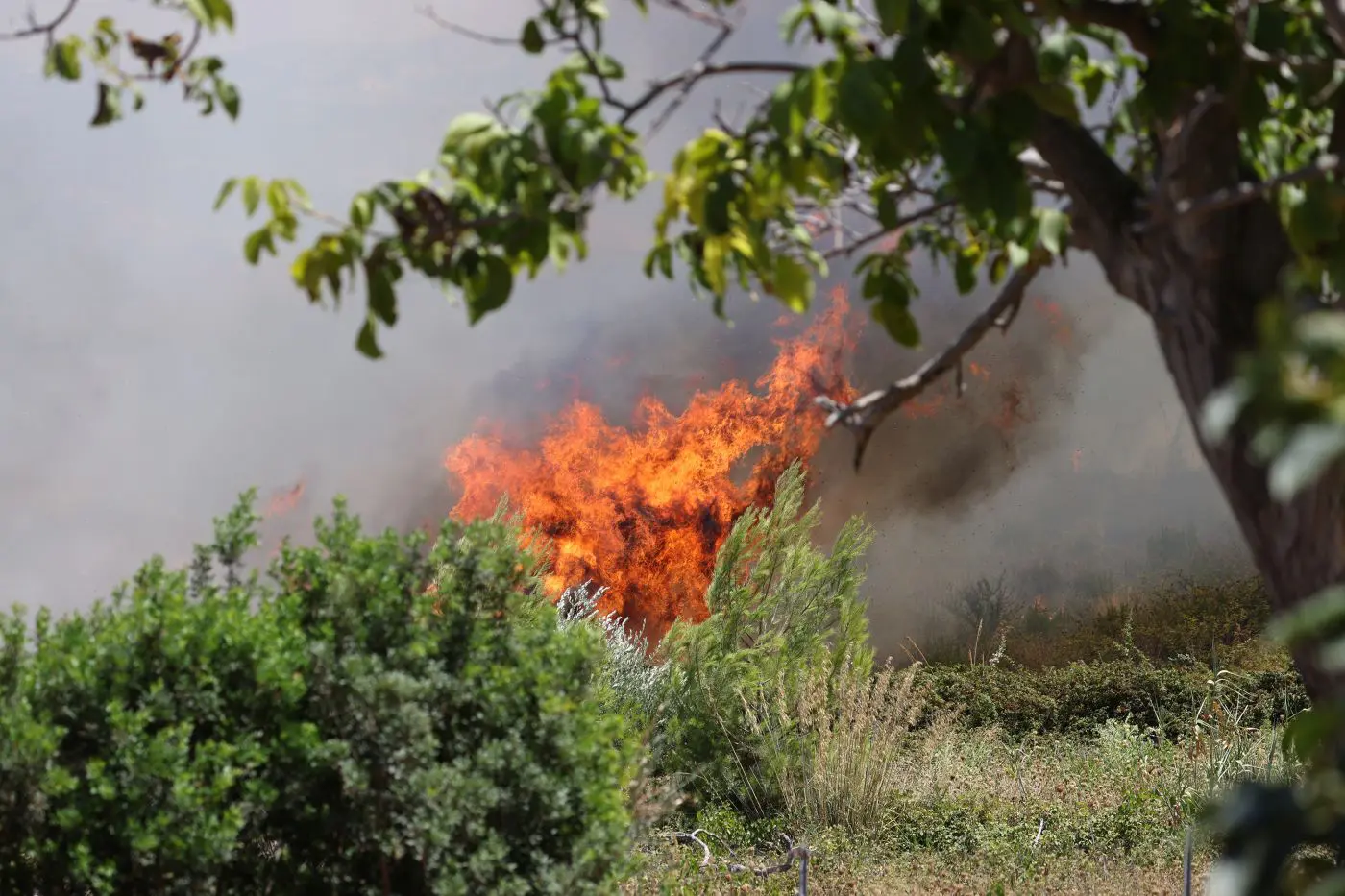 Incendi in Sicilia, da gennaio 328 roghi e 24.451 ettari andati in fumo: i dati di Legambiente