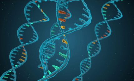 Genetica medica, diagnosi pi&ugrave; precise e terapie personalizzate