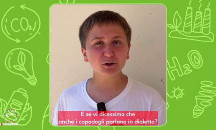 I capodogli del Mediterraneo parlano in dialetto