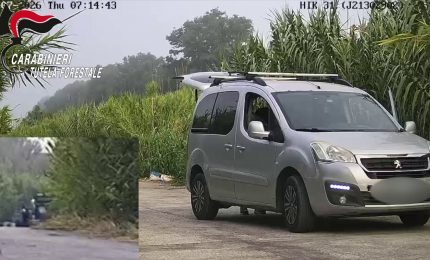 Napoli, abbandona cucciolo di cane tra i rifiuti. Individuato dalle telecamere