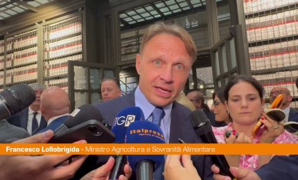 Lollobrigida "Il vino un prodotto strategico per l'Italia"