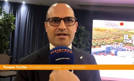 Energia, Torchia "Mezzogiorno traina il Paese nella produzione di rinnovabili"