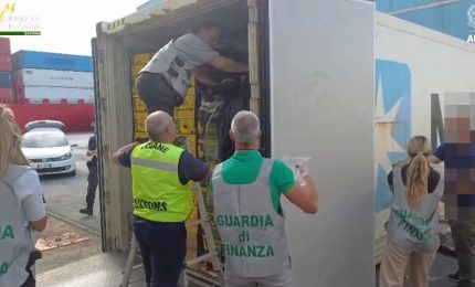 Savona, sequestrati al porto di Vado Ligure 800 chili di cocaina
