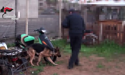 Mafia e droga nel trapanese, blitz con 12 arresti