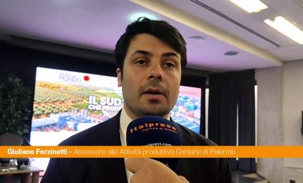 Energia, Forzinetti "Tema fondamentale per l'ambiente e la politica industriale"