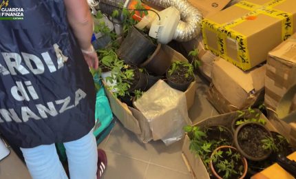 Sequestrati 100 kg tra hashish e marijuana nel Catanese, 3 arresti