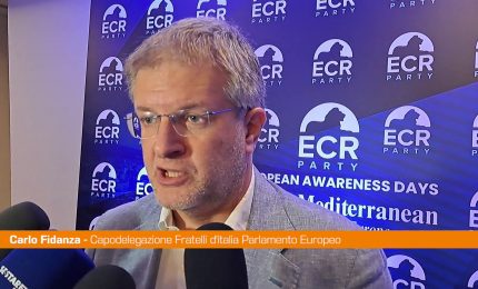 Fidanza "Il Mediterraneo &egrave; tornato al centro delle politiche europee"