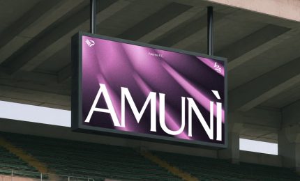 Il forte legame tra il club e la citt&agrave; nella strategia di branding del Palermo