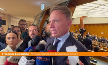 Export, Lollobrigida "Con ICE stiamo facendo un lavoro eccezionale"