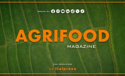 Agrifood Magazine - 15/7/2026